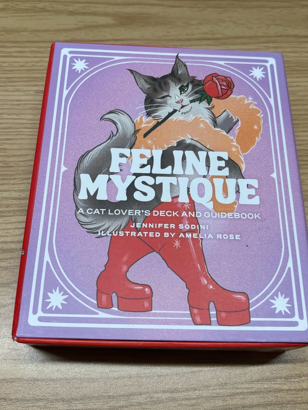 Feline Mystique Cat Lovers Deck & Guidebook - Pink/Red
